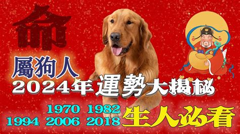 1970屬狗十年運勢|1970属狗在2025以后十年大运，70年狗未来十年运势。